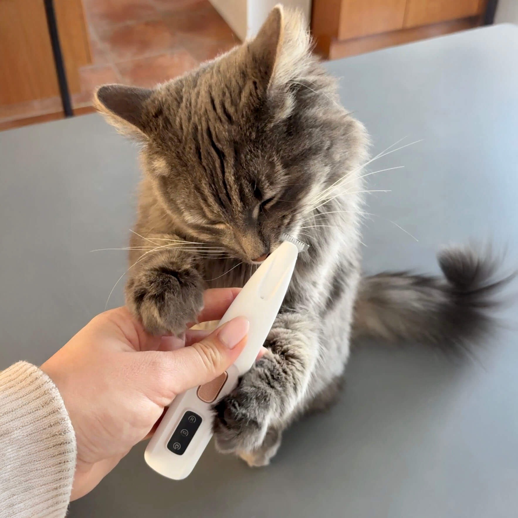 Tondeuse Silencieuse Pro